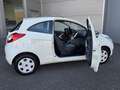 Ford Ka/Ka+ 1.2 Cool&Sound Nieuwe distributieriem + waterpomp Weiß - thumbnail 37