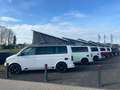 Volkswagen Volkswagen T6 Camper AUFSTELDACH/NEUAUSBAU/KEIN Blanco - thumbnail 22