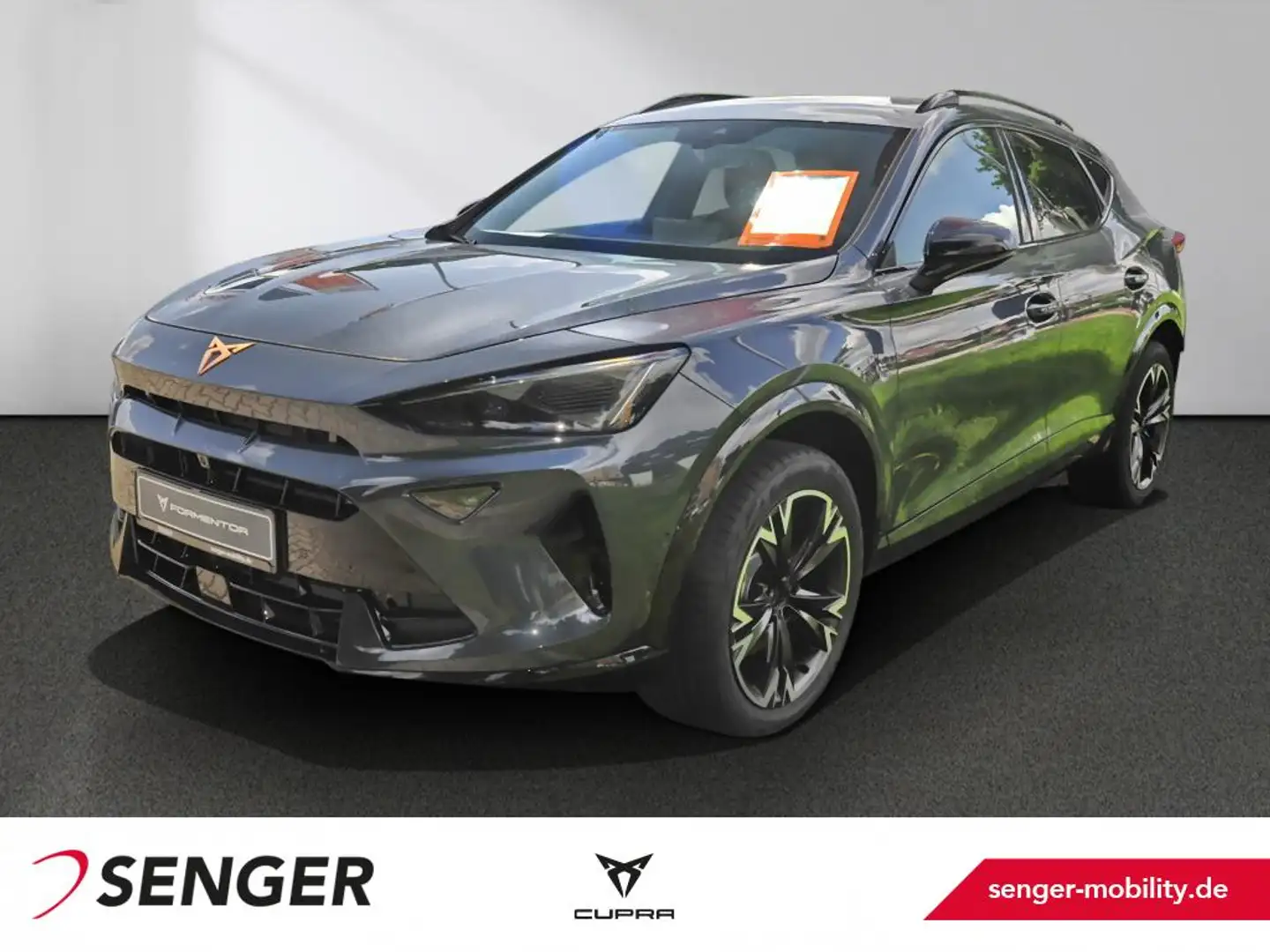 CUPRA Formentor 2.0 TDI DSG AHK Sennheiser 360° Kam. Gris - 1