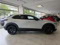 Mazda CX-30 CX-30 e-Skyactive G140 Homura Weiß - thumbnail 3