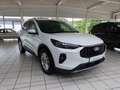 Ford Kuga 1.5 EcoB. Titanium Autom. LED-Matrix,GJR,Navi Blanco - thumbnail 2
