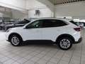 Ford Kuga 1.5 EcoB. Titanium Autom. LED-Matrix,GJR,Navi Blanco - thumbnail 12