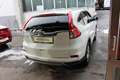 Honda CR-V 1,6i-DTEC Lifestyle 4WD Aut. Weiß - thumbnail 7