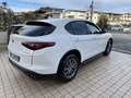 Alfa Romeo Stelvio 2.2 t Super rwd 160cv auto - thumbnail 4