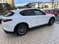 Alfa Romeo Stelvio 2.2 t Super rwd 160cv auto - thumbnail 8