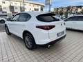 Alfa Romeo Stelvio 2.2 t Super rwd 160cv auto - thumbnail 6
