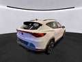 CUPRA Formentor 2.0 TSI 4x4 DSG*NAVI*360*SHZ*DCC*BEATS Weiß - thumbnail 2