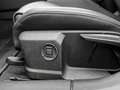 Audi A5 Avant TDI S tronic TechPlus+AHK+B&O+SLineExteri... Grau - thumbnail 14