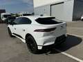 Jaguar I-Pace Austria Edition EV320 AWD Weiß - thumbnail 5