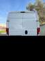 Peugeot Boxer coibentato - thumbnail 3