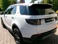 Land Rover Discovery SPORT Bianco - thumbnail 6