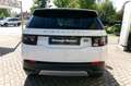 Land Rover Discovery SPORT Bianco - thumbnail 5