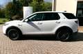 Land Rover Discovery SPORT Bianco - thumbnail 7