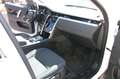 Land Rover Discovery SPORT Bianco - thumbnail 10