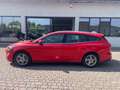 Ford Focus 1.5 EcoBlue 120 CV SW Business Rosso - thumbnail 6