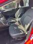 Ford Focus 1.5 EcoBlue 120 CV SW Business Rosso - thumbnail 10