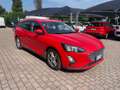 Ford Focus 1.5 EcoBlue 120 CV SW Business Rosso - thumbnail 1