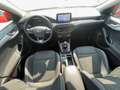 Ford Focus 1.5 EcoBlue 120 CV SW Business Rosso - thumbnail 7