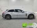 Porsche Panamera 2.9 4 E-Hybrid GARANZIA INCLUSA Gris - thumbnail 14