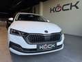 Skoda Octavia Style Weiß - thumbnail 3
