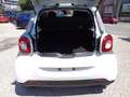 smart forFour 1000 PASSION 52KW AUTOM CAM NAV CERCHI ITALIA Bianco - thumbnail 14