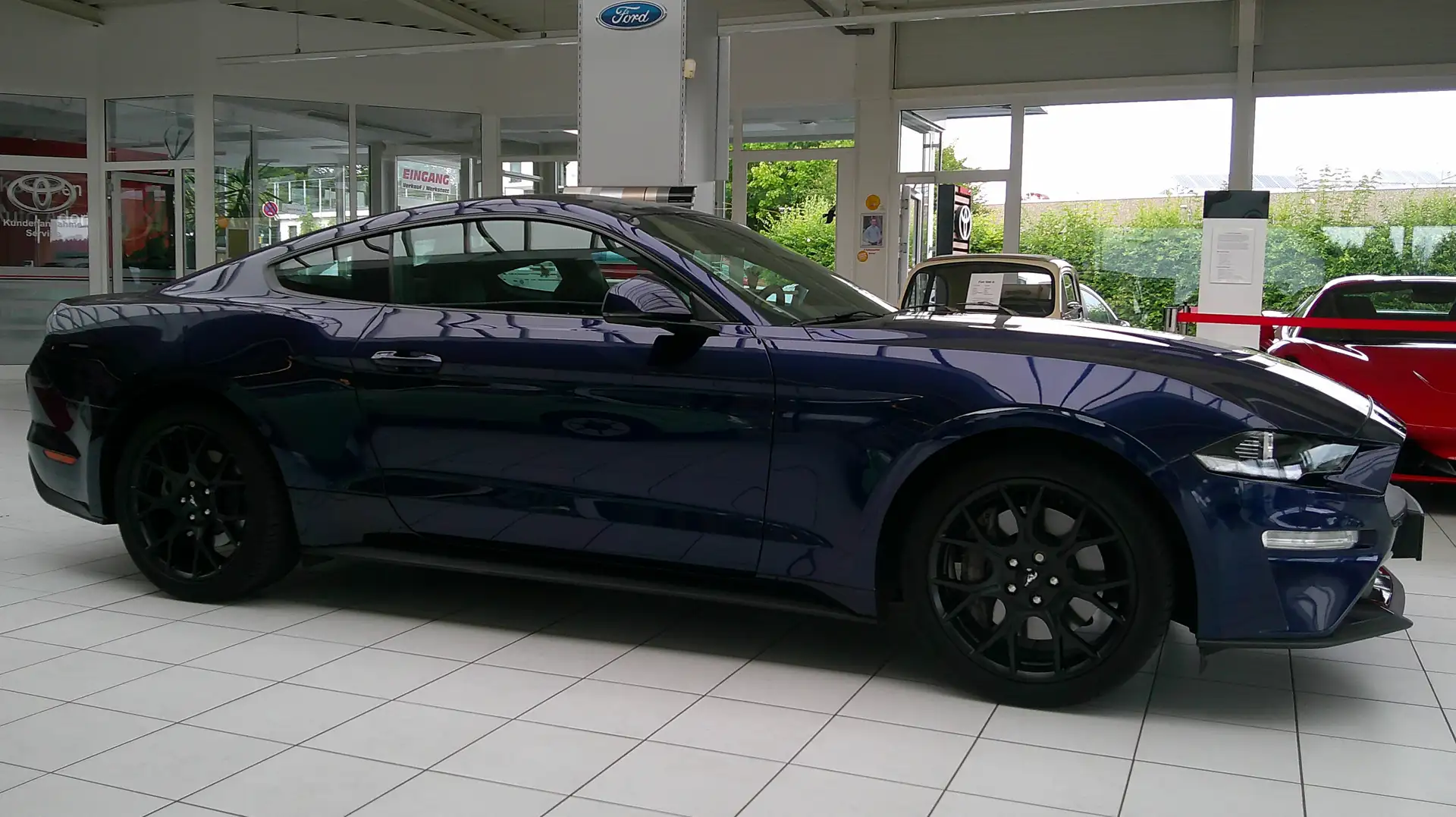 Ford Mustang Mustang Fastback 2.3 Eco Boost Automatik dt. Fzg. Bleu - 2