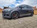 Ford S-Max S-MAX Titanium 2.0 TDCi Bi-Turbo Auto-Start/Stop Aut. Titanium Grau - thumbnail 1