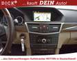 Mercedes-Benz E 350 d 7G Elegan GEPFLEGT+LUFT+PANO+MEMO+COMAND+ Brun - thumbnail 19