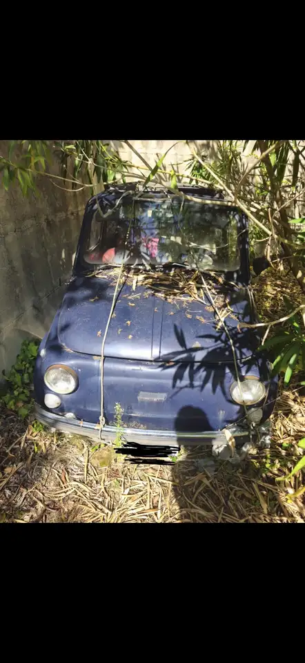 Fiat 500, foto 1