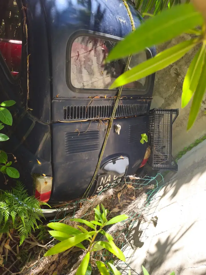 Fiat 500, foto 5