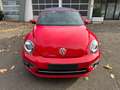 Volkswagen Beetle Denim BMT/Start-Stopp/ 1.HAND Rojo - thumbnail 1