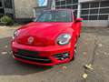 Volkswagen Beetle Denim BMT/Start-Stopp/ 1.HAND Rouge - thumbnail 2