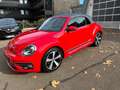 Volkswagen Beetle Denim BMT/Start-Stopp/ 1.HAND Red - thumbnail 3