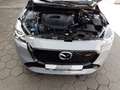 Mazda 2 Homura Autom. 1.5 SKYACTIV-G 90 Klimaautom Musikst Gris - thumbnail 14