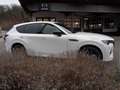 Mazda CX-60 3.3L e-SKYACTIV D 254PS 8AT AWD Homura COSO Weiß - thumbnail 7
