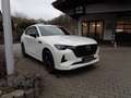 Mazda CX-60 3.3L e-SKYACTIV D 254PS 8AT AWD Homura COSO Weiß - thumbnail 8