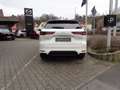 Mazda CX-60 3.3L e-SKYACTIV D 254PS 8AT AWD Homura COSO Weiß - thumbnail 5
