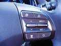 Hyundai IONIQ Elektro Level 4 i0e40-O7 Silber - thumbnail 15