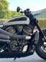Harley-Davidson Sportster Sportster S Bianco - thumbnail 6