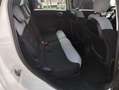 Fiat 500L Living 1.6 Multijet 120 CV Pop Star Bianco - thumbnail 14