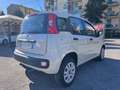 Fiat Panda Panda 0.9 t.air t. natural power80cv Beige - thumbnail 9