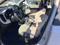 Fiat Panda Panda 0.9 t.air t. natural power80cv Beige - thumbnail 3