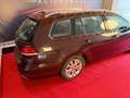 Volkswagen Golf Variant VII 1.5 TSI ACT Rabbit BlueMotion Rot - thumbnail 3