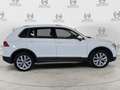 Volkswagen Tiguan Tiguan 2.0 TDI SCR DSG 4MOTION Business BMT Bianco - thumbnail 8