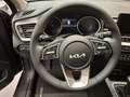 Kia XCeed Xceed 1,0 TGDI GPF Silber Modell 26 115 PS Grau - thumbnail 6