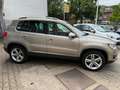 Volkswagen Tiguan Sport Beige - thumbnail 5