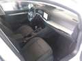 Volkswagen Golf VIII 1.5 TSI LIFE *LED *ACC *VIRTUAL *SHZ * Weiß - thumbnail 8