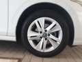 Volkswagen Golf VIII 1.5 TSI LIFE *LED *ACC *VIRTUAL *SHZ * Weiß - thumbnail 7