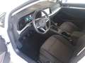Volkswagen Golf VIII 1.5 TSI LIFE *LED *ACC *VIRTUAL *SHZ * Weiß - thumbnail 9