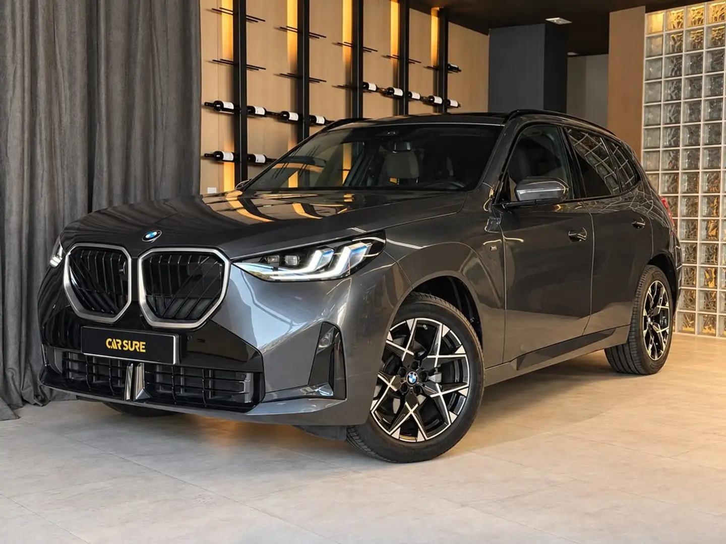 BMW X3 20d xDrive Gris - 1